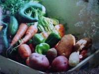 Zeleninová bedýnka - PRAVIDELNÉ BEDÝNKOVÁNÍ